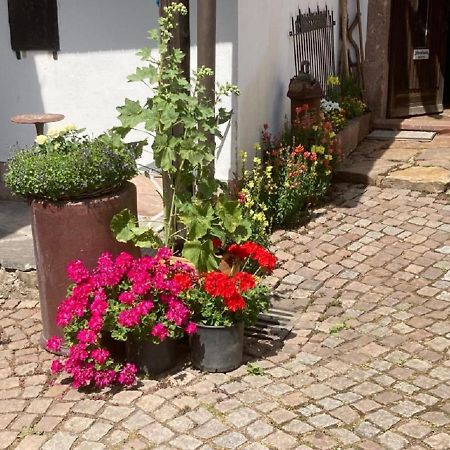Zum Frongut Hotel Burgstadt Buitenkant foto
