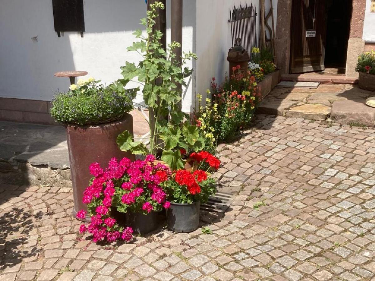 Zum Frongut Hotel Burgstadt Buitenkant foto