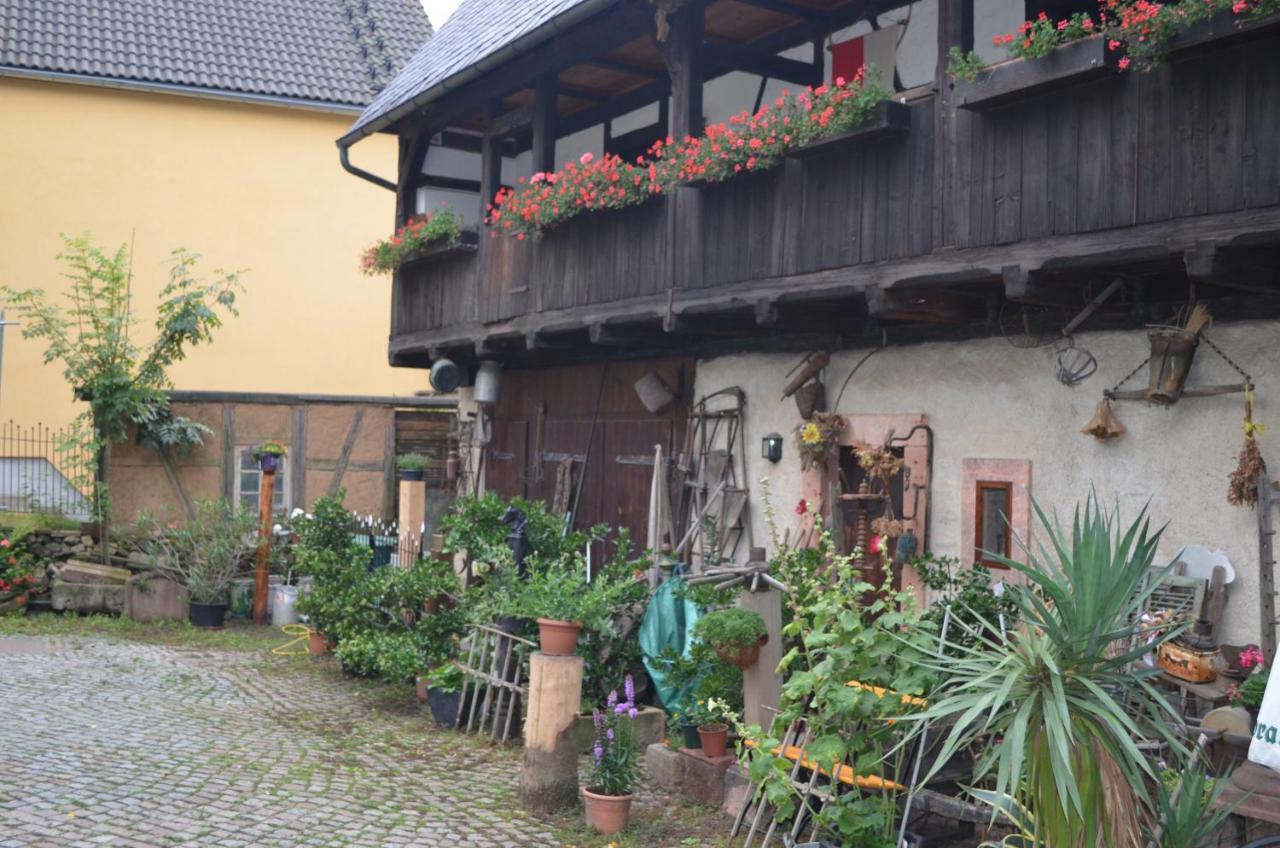 Zum Frongut Hotel Burgstadt Buitenkant foto